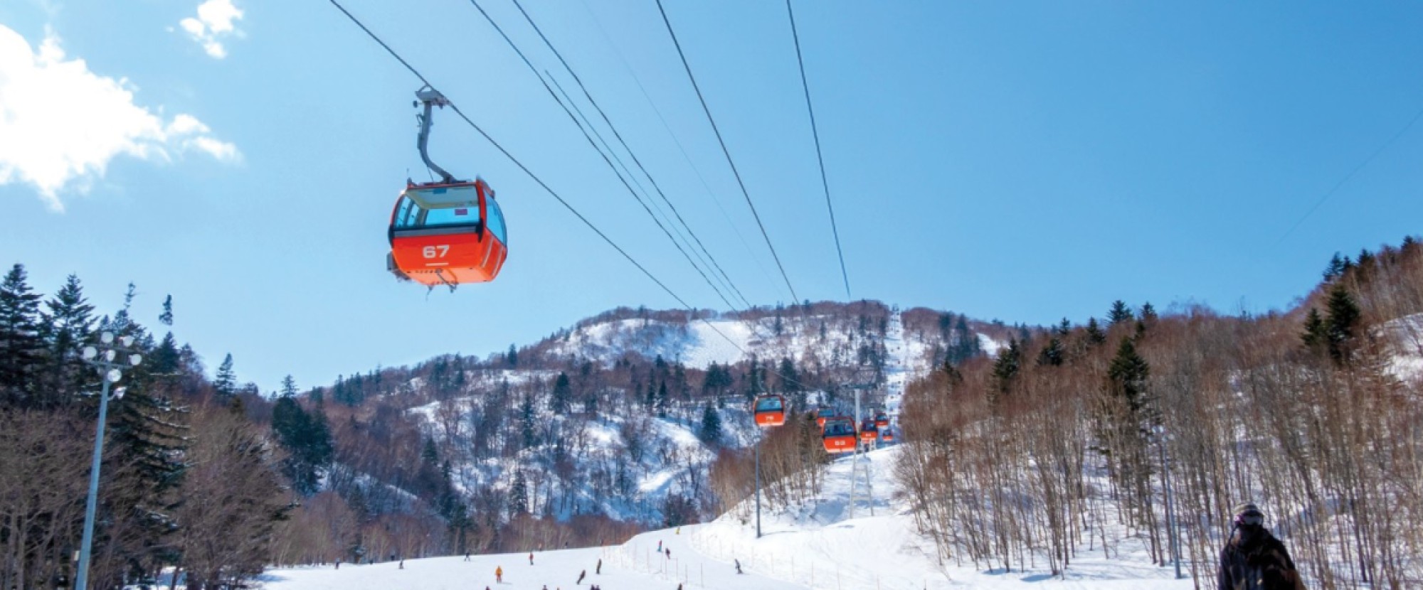 7D5N HOKKAIDO の SKI FUN +1 DAY FREE AND EASY photo 1166
