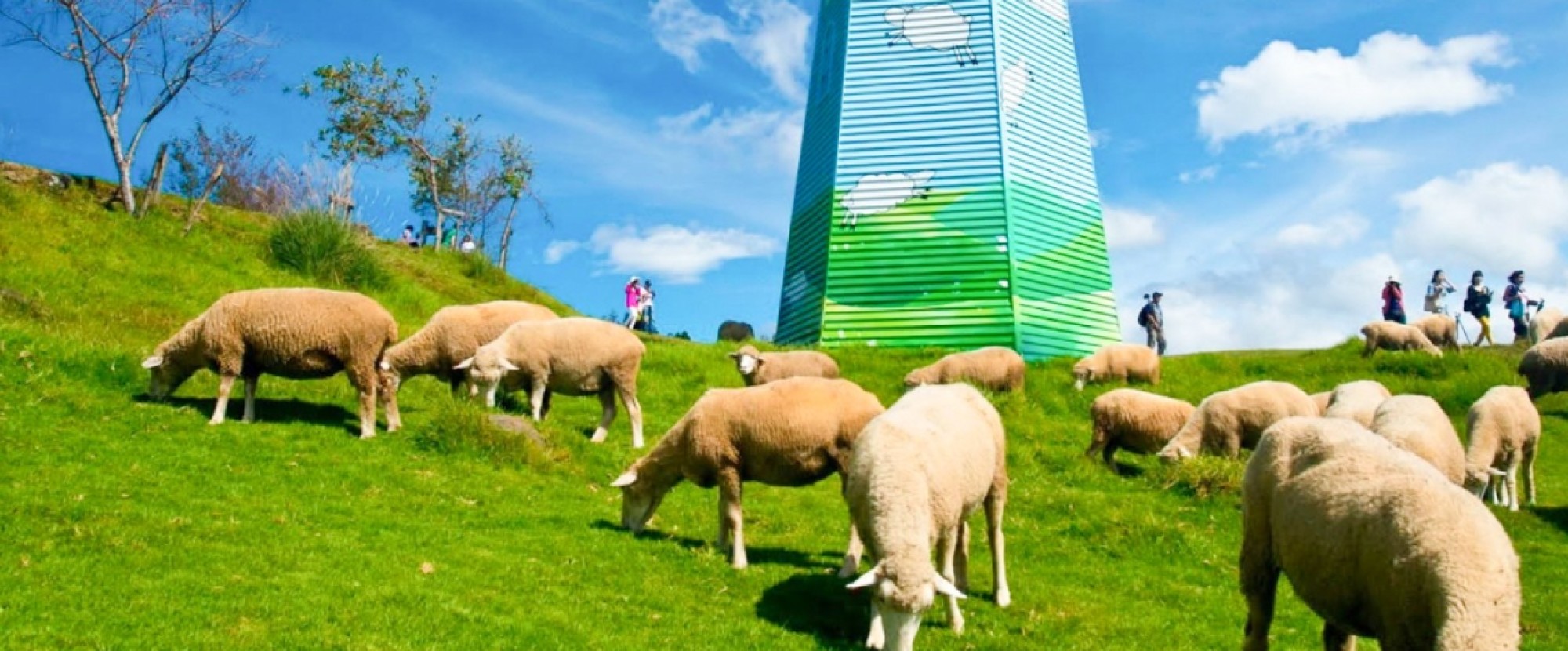 7D5N TAIPEI/ MIAOLI/ NANTOU/ TAICHUNG/ YILAN (QINGJING FARM+SUN MOON LAKE) photo 1033