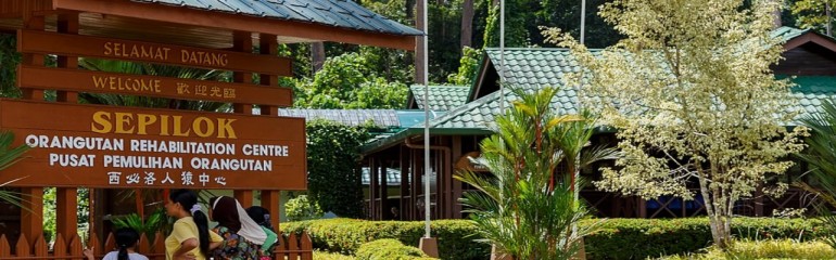 4D3N Borneo Nature Lodge Package