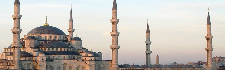 9H7M TURKIYE TULIP - Muslim