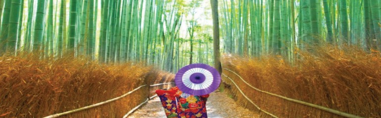 9H/8H6M OSAKA + KYOTO + MT. FUJI + TOKYO - Muslim